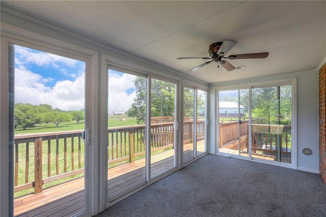 20012 138th St, Kearney, MO 64060 - photo 55