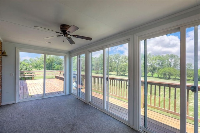 20012 138th St, Kearney, MO 64060 - photo 56