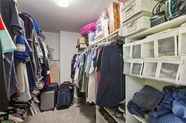 7642 N Atkins Pl, Kansas City, MO 64152 - walk in closet with carpet floors