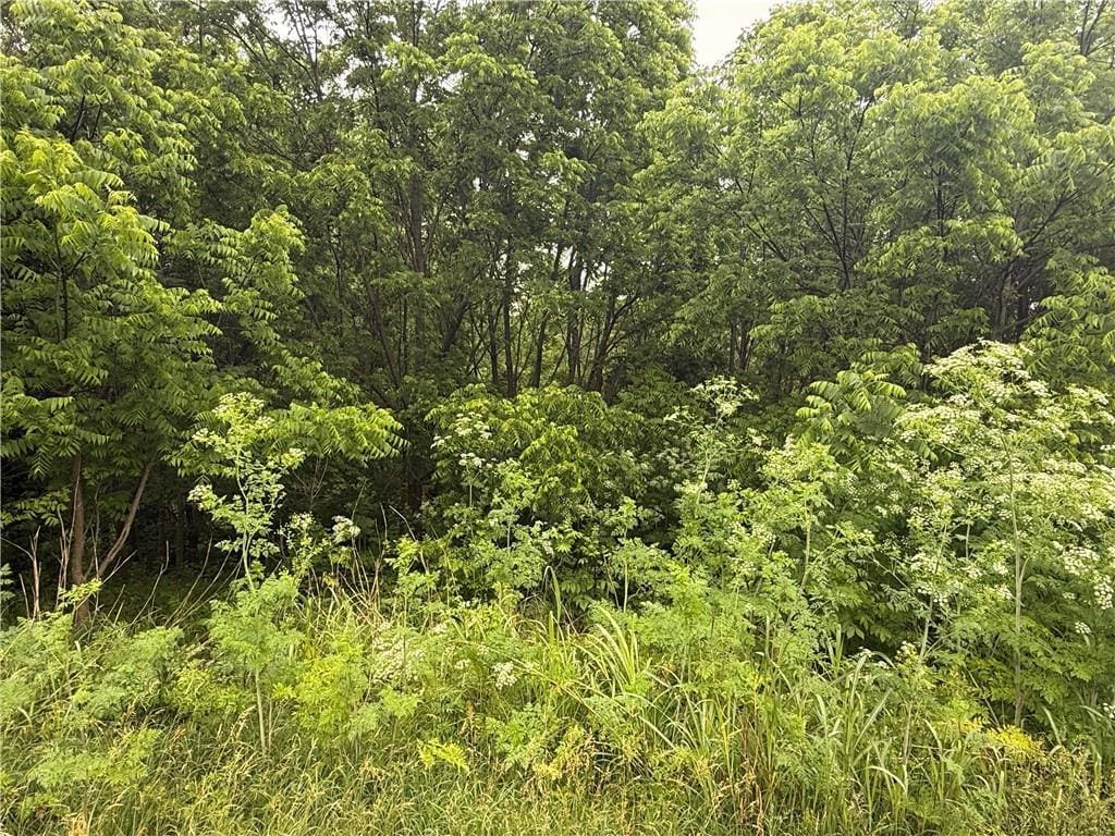 LOT9 Vining Dr, Climax Springs, MO 35324