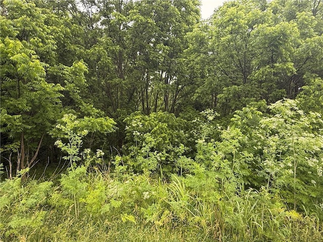 LOT9 Vining Dr, Climax Springs, MO 35324