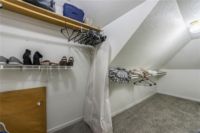 124 Wildwood St, Excelsior Springs, MO 64024 - walk in closet with carpet flooring and vaulted ceiling
