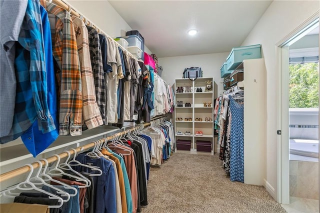11446 S Longview Rd, Olathe, KS 66061 - spacious closet featuring carpet flooring