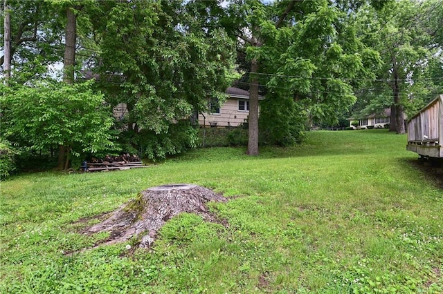 11013 Beacon Ave, Kansas City, MO 64134 - photo 19