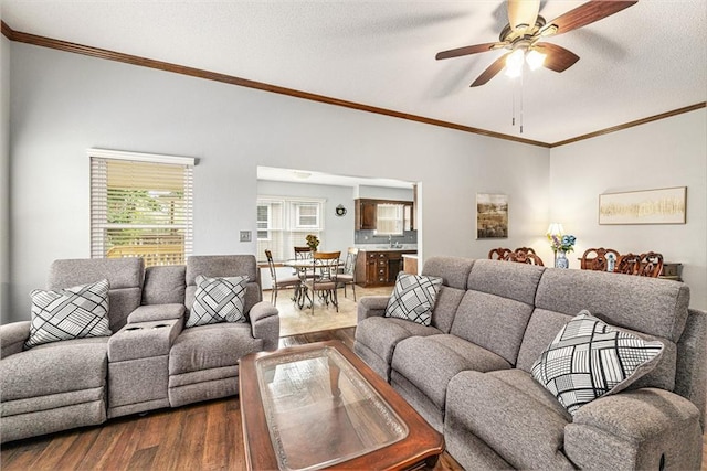16519 E 53rd Street Ct, Independence, MO 64055 - living room featuring dark wood finished floors, crown molding, and a ceiling fan