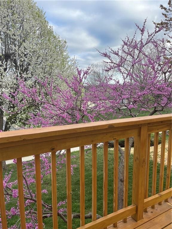 16519 E 53rd Street Ct, Independence, MO 64055 - view of wooden terrace
