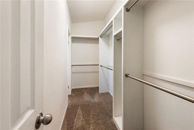 3906 Oo Hwy, Odessa, MO 64076 - walk in closet with carpet flooring