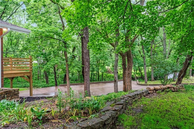 804 5th St, Baldwin City, KS 66006 - view of yard