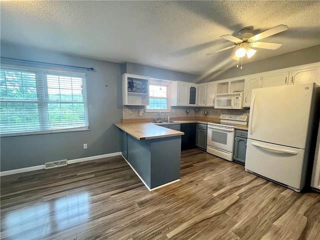 1 N Vine View St, Platte City, MO 64079 - kitchen with white appliances, a sink, a peninsula, a textured ceiling, and dark wood-type flooring