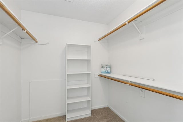15050 W 145th St, Olathe, KS 66062 - spacious closet featuring carpet flooring