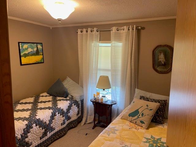 4691 New Hampshire Rd, Bronson, KS 66716 - carpeted bedroom featuring ornamental molding and a textured ceiling