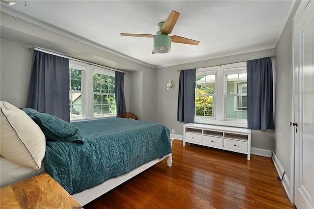 35 W 70th St, Kansas City, MO 64113 - bedroom with multiple windows, wood finished floors, ornamental molding, and a ceiling fan