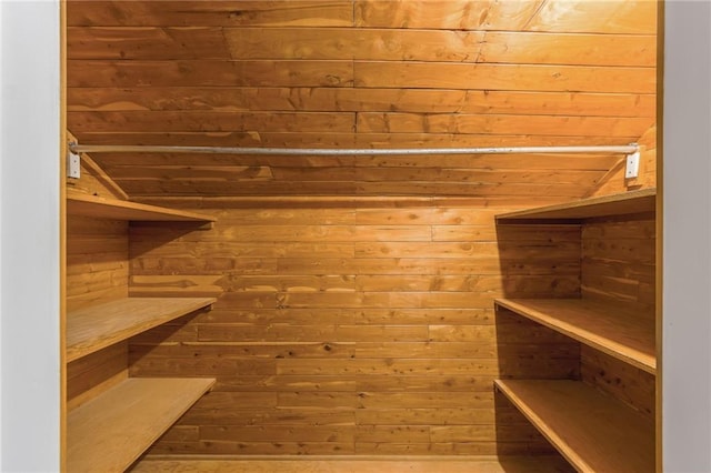 10100 E Sheley Rd, Independence, MO 64052 - walk in closet with vaulted ceiling