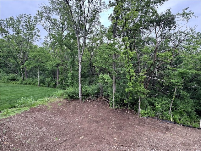 22428 W 90th Ter, Lenexa, KS 66227 - view of wooded area
