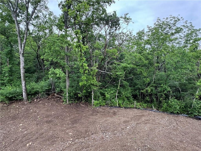 22428 W 90th Ter, Lenexa, KS 66227 - view of local wilderness