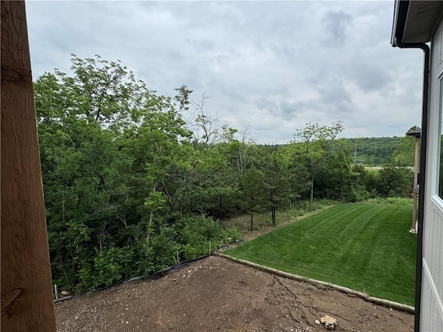 22428 W 90th Ter, Lenexa, KS 66227 - view of grassy yard featuring a view of trees