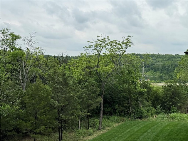 22428 W 90th Ter, Lenexa, KS 66227 - view of tree filled area