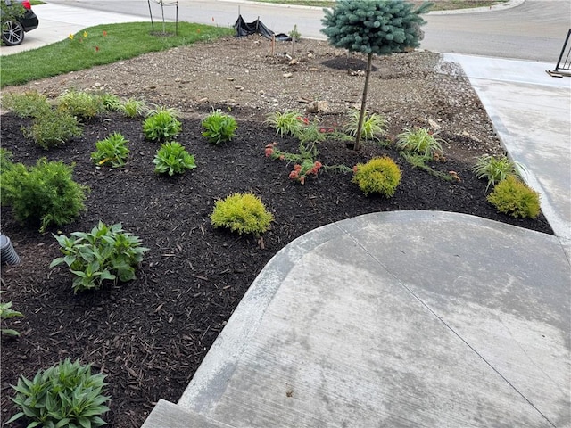 22428 W 90th Ter, Lenexa, KS 66227 - view of yard