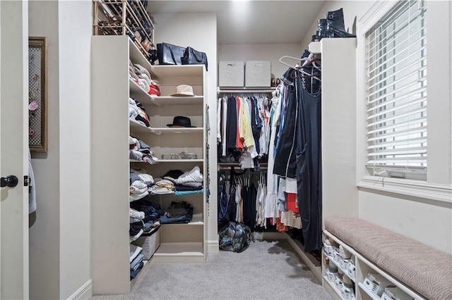 24901 W 91st Pl, Lenexa, KS 66227 - spacious closet featuring carpet flooring