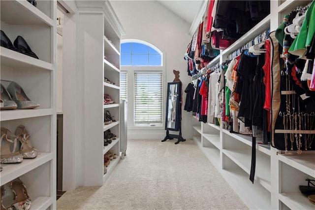 15318 W 172nd Pl, Olathe, KS 66062 - walk in closet with carpet floors