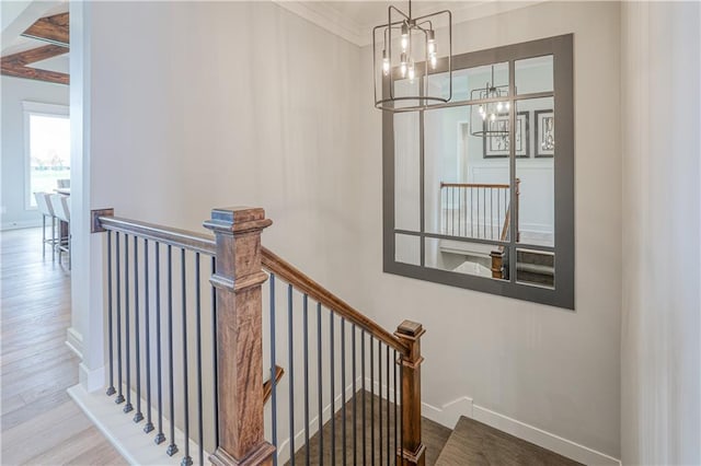 17162 S Hall St, Olathe, KS 66062 - stairs with a chandelier, wood finished floors, crown molding, and baseboards