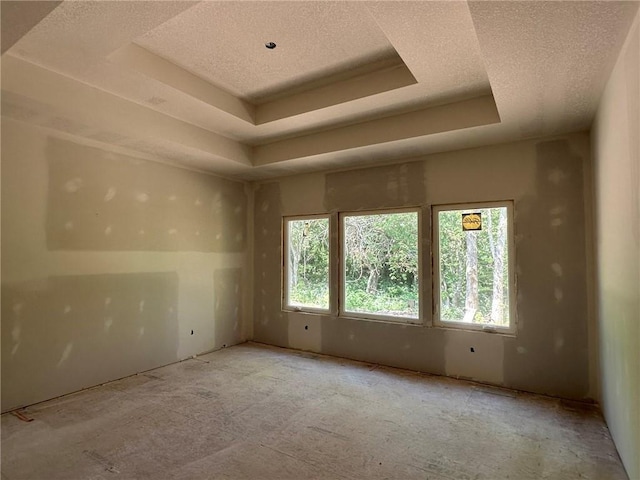 17162 S Hall St, Olathe, KS 66062 - spare room featuring a tray ceiling and a textured ceiling
