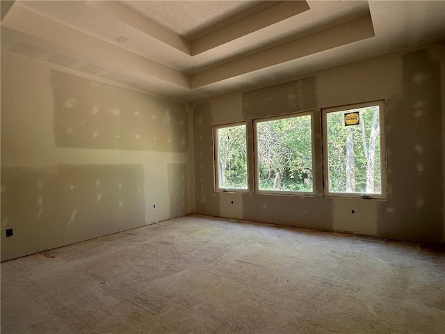 17162 S Hall St, Olathe, KS 66062 - carpeted spare room with a raised ceiling