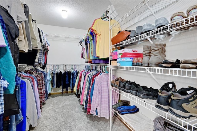 8215 W 150th St, Overland Park, KS 66223 - walk in closet with carpet