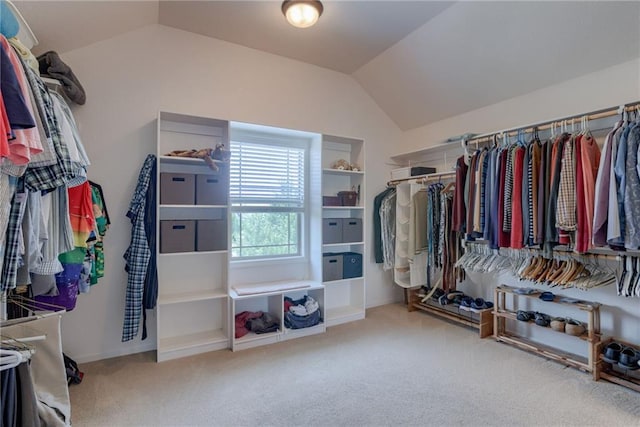 25005 W 85th Ter, Lenexa, KS 66227 - walk in closet with lofted ceiling and carpet flooring