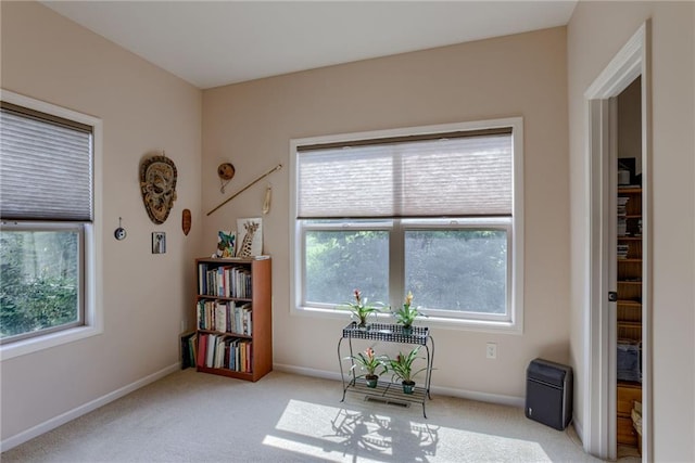 25005 W 85th Ter, Lenexa, KS 66227 - living area featuring plenty of natural light and light carpet