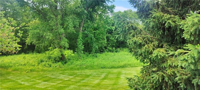 25005 W 85th Ter, Lenexa, KS 66227 - view of yard