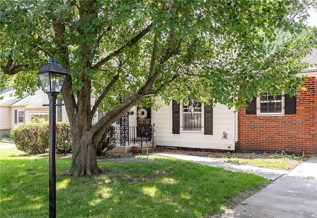 6038 Catalina St, Fairway, KS 66205 - view of property hidden behind natural elements with a front lawn and brick siding