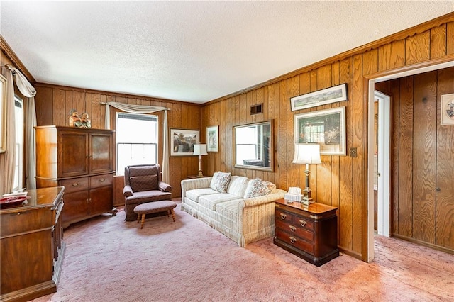 6038 Catalina St, Fairway, KS 66205 - living area with a textured ceiling, wooden walls, and carpet flooring