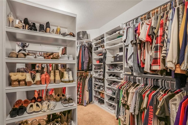 13808 Richards St, Overland Park, KS 66221 - walk in closet featuring carpet
