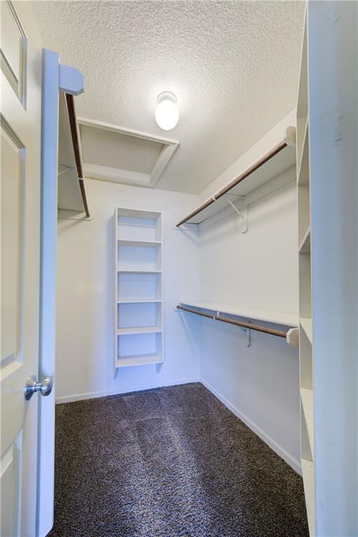 8815 Timber Creek Ln, Pleasant Valley, MO 64068 - spacious closet featuring carpet flooring and attic access