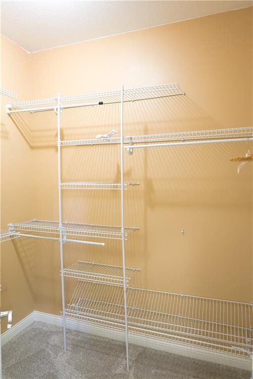 2404 Edmonds Ct, Columbia, MO 65203 - walk in closet featuring carpet