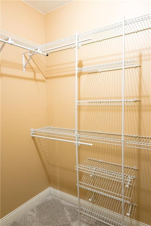 2404 Edmonds Ct, Columbia, MO 65203 - walk in closet featuring carpet