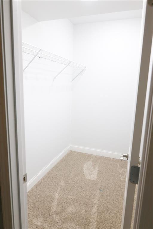 2404 Edmonds Ct, Columbia, MO 65203 - spacious closet featuring carpet floors
