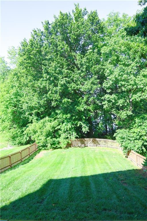 2404 Edmonds Ct, Columbia, MO 65203 - view of yard