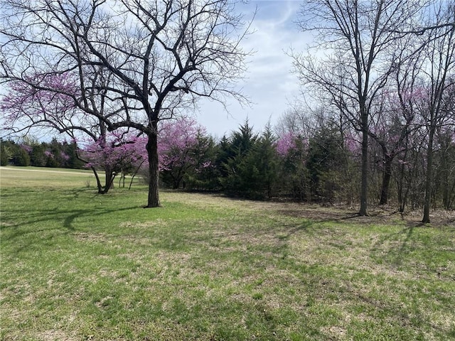 20 Timber Lake Rd, Lane, KS 66042 - photo 20