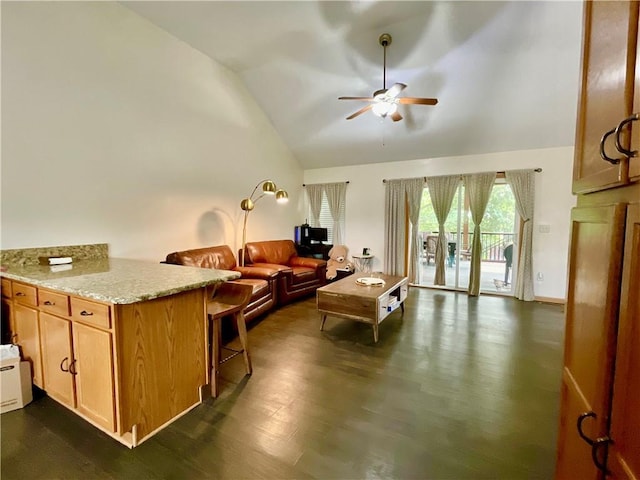 11601 N Manning Ave, Kansas City, MO 64157 - living area with a ceiling fan, dark wood finished floors, and high vaulted ceiling