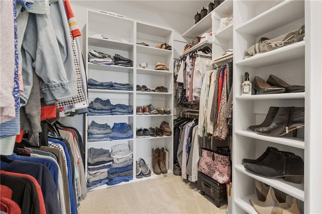 4313 Lakeview Ter, Basehor, KS 66007 - spacious closet with carpet