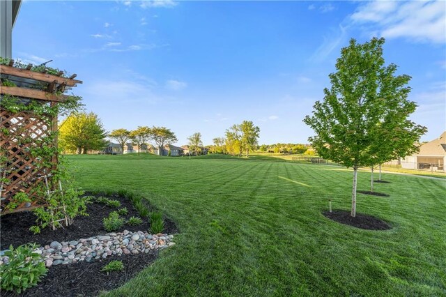 4313 Lakeview Ter, Basehor, KS 66007 - view of green lawn
