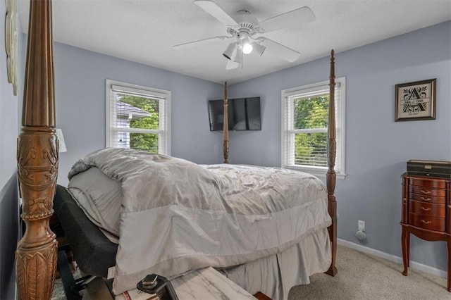 105 SW Alderson Pl, Lees Summit, MO 64063 - carpeted bedroom with multiple windows, baseboards, and ceiling fan