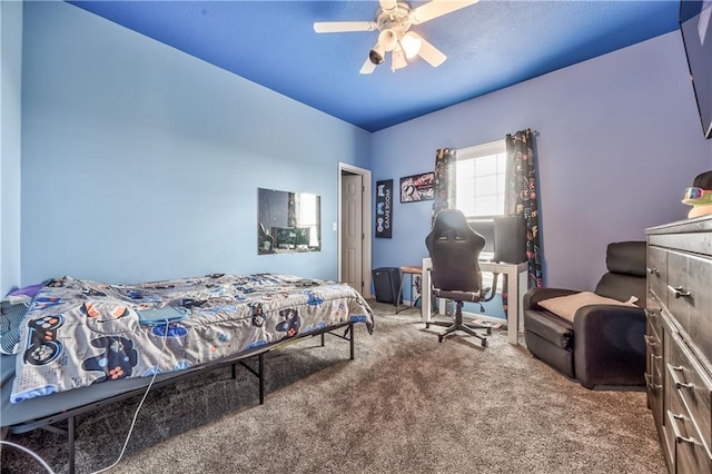 2090 N 900th Rd, Eudora, KS 66025 - photo 8