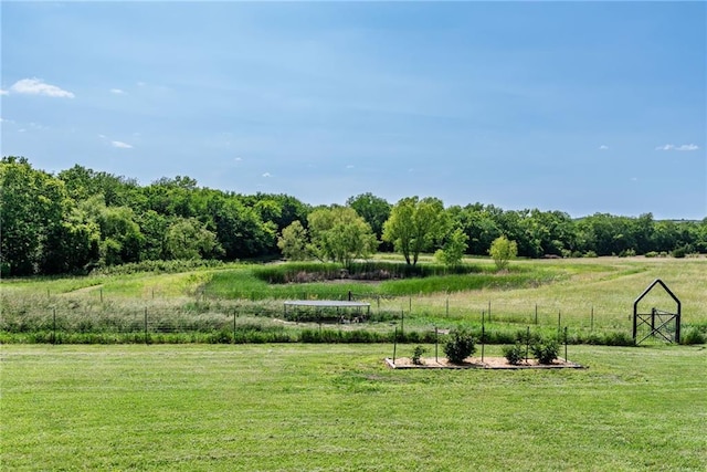 19819 Mclouth Rd, Tonganoxie, KS 66086 - view of yard featuring a garden