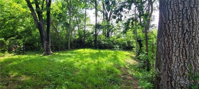 5118 Wabash Ave, Kansas City, MO 64130 - view of woods