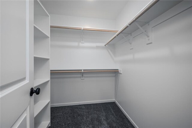11147 Rowland Ave, Kansas City, KS 66109 - walk in closet featuring carpet flooring
