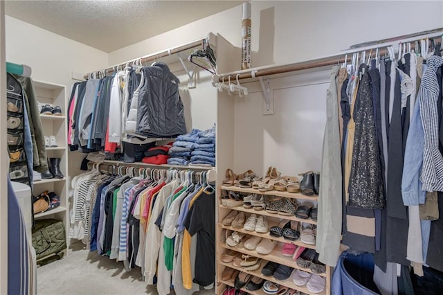 8905 NE 101st St, Kansas City, MO 64157 - walk in closet with carpet floors