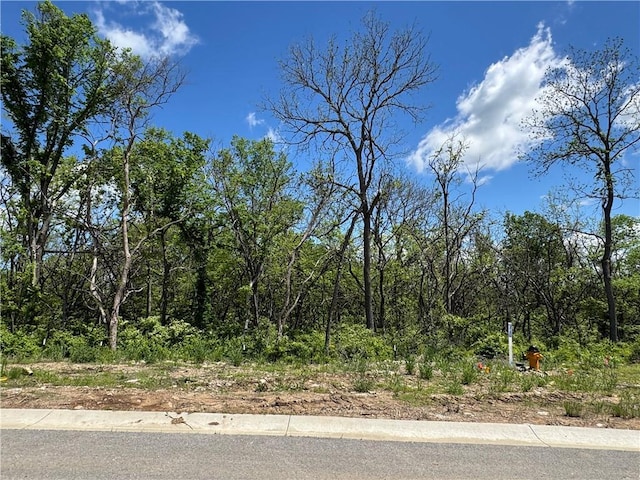 22393 W 89th Ter, Lenexa, KS 66227 - view of asphalt street with curbs